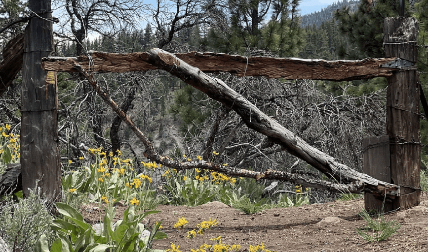 Miller Fence